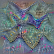 n02883205